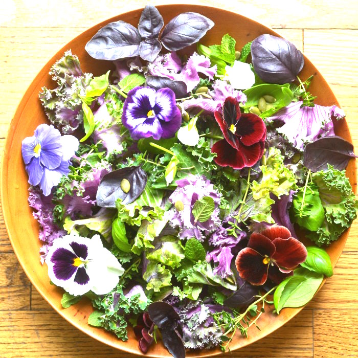 organic garden salad shiva rose The Numinous