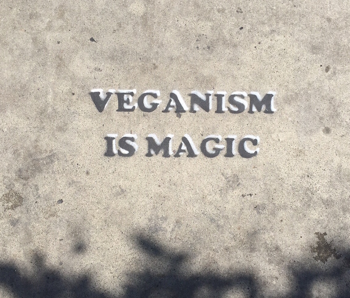 Veganism is magic cowspiracy review on The Numinous