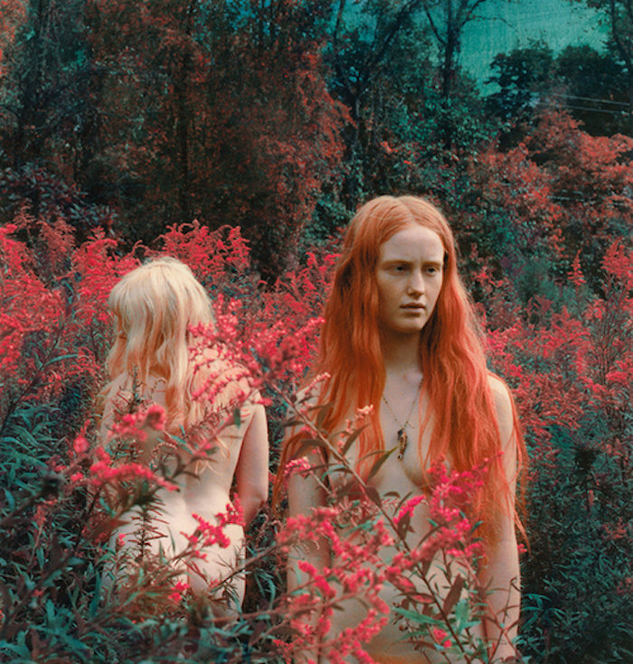 Women with red flowers by Shae DeTar featured on The Numinous