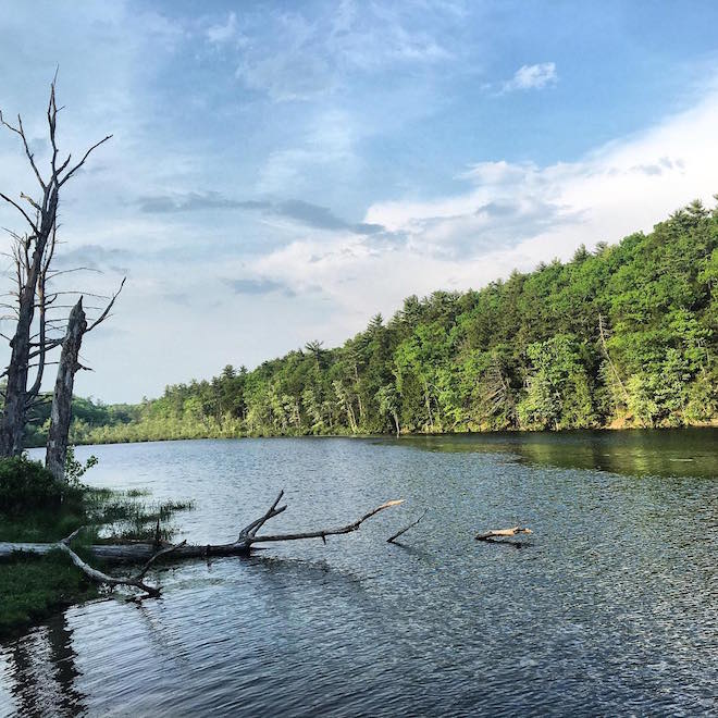 River in the Catskills at Maha Rose North on The Numinous