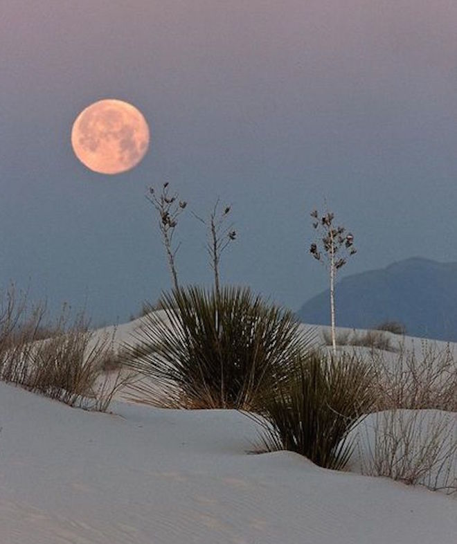 desert sand full moon virgo season by Mojave Rising on The Numinous