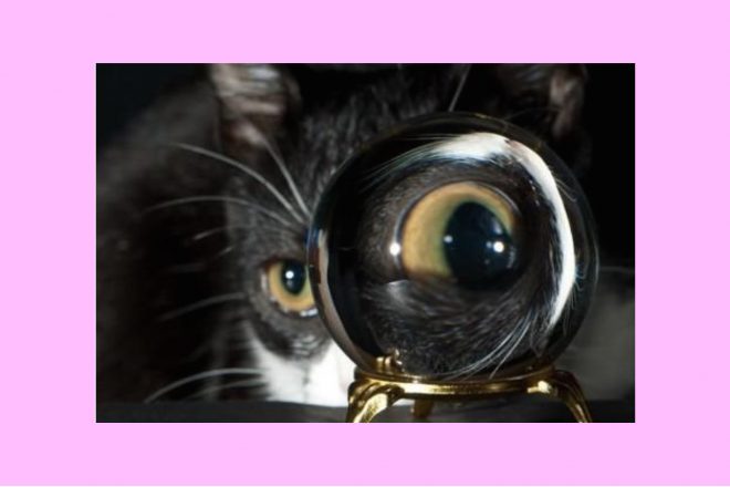 Cat crystal magnifying glass Strong Eye Astrology Horoscopes The Numinous