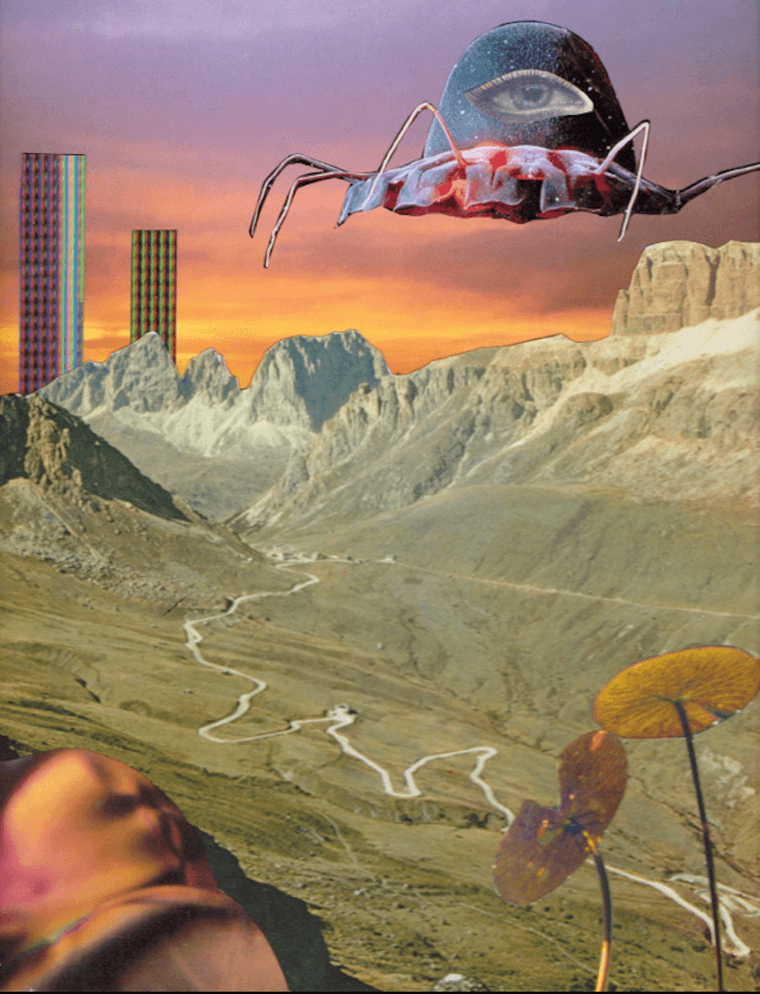 seana gavin collage jennifer racioppi ruby warrington the numinous aquarius waning quarter moon