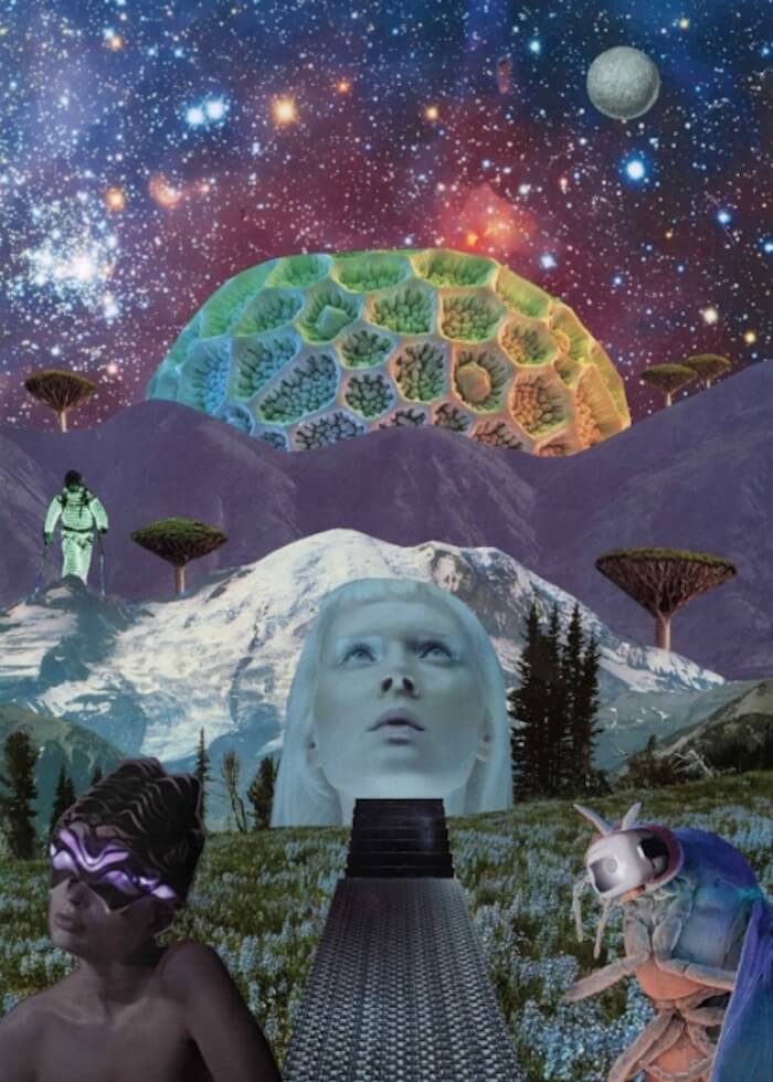 Seana Gavin collage The Numinous pisces waning quarter moon