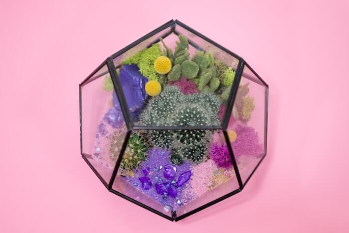 Terrarium Cancer Season 2018 The Numinous Bess Matassa